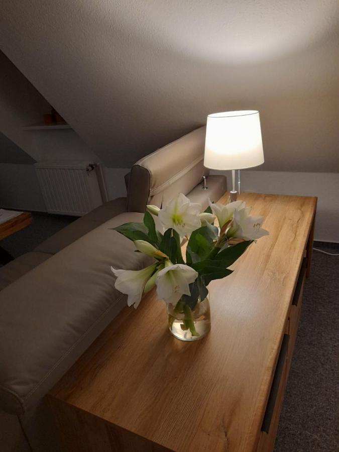 Himmel & Hoelle, Heiligegeiststrasse 22 Apartment Quedlinburg Bagian luar foto